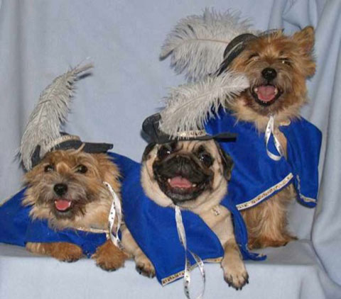 The Three Musketeers