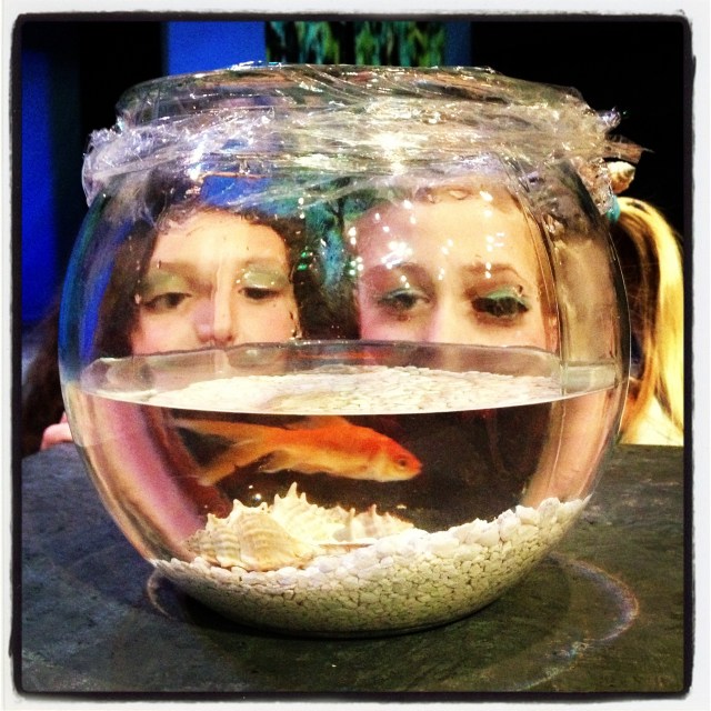 Meet Francis.  No, he was not named after the new pope.